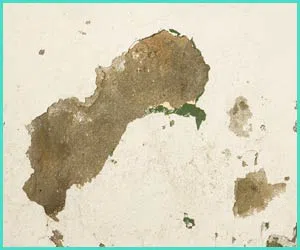 North Miami Beach Restoration Company North Miami Beach, FL 786-352-8235 North Miami Beach Restoration Company North Miami Beach, FL 786-352-8235