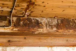 North Miami Beach Restoration Company North Miami Beach, FL 786-352-8235 North Miami Beach Restoration Company North Miami Beach, FL 786-352-8235