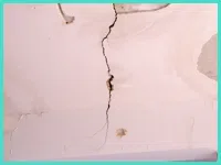 North Miami Beach Restoration Company North Miami Beach, FL 786-352-8235