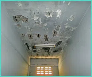 North Miami Beach Restoration Company North Miami Beach, FL 786-352-8235